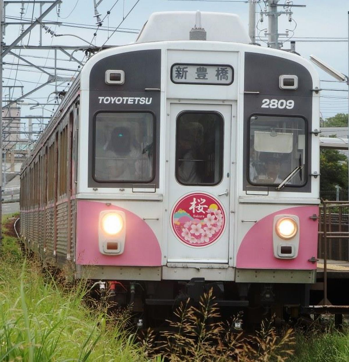 画像出典：wikipedia